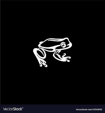 Abstract frog design vector image