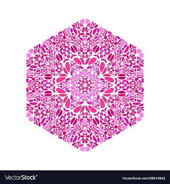 Abstract geometrical colorful isolated flower vector image