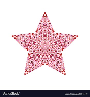 Abstract geometrical floral ornament star logo vector image