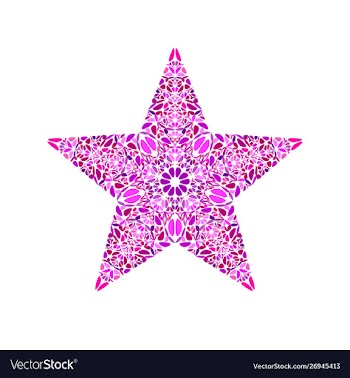 Abstract geometrical floral star symbol vector image