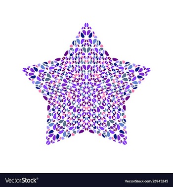 Abstract geometrical gravel ornament star symbol vector image