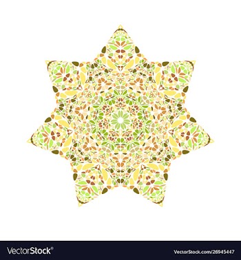 Abstract geometrical isolated flower star symbol vector image