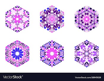 Abstract geometrical isolated petal hexagon vector image
