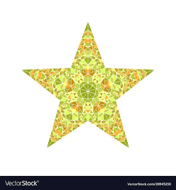Abstract geometrical mosaic ornament star symbol vector image
