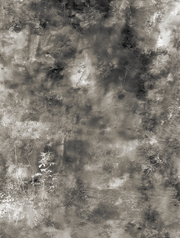 Abstract Gray Texture Overlay