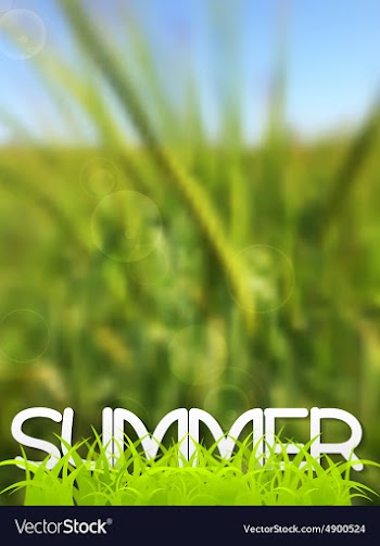 Abstract green blurred summer background vector image