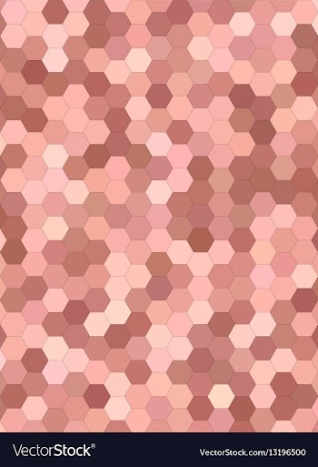 Abstract hexagonal tile mosaic background vector image