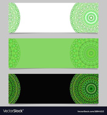 Abstract horizontal geometrical floral mandala vector image