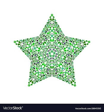 Abstract isolated colorful floral mosaic star vector image