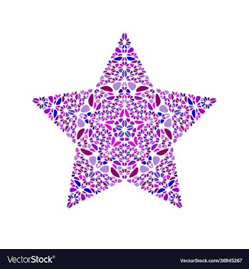 Abstract isolated colorful floral ornament star vector image