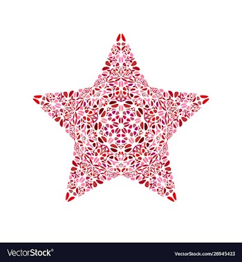 Abstract isolated colorful floral star logo vector image