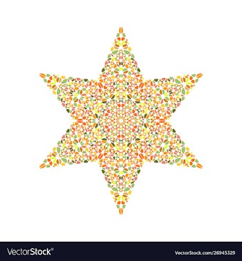 Abstract isolated colorful gravel ornament star vector image