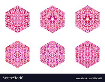 Abstract isolated geometrical floral ornament vector image