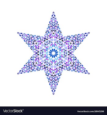 Abstract isolated geometrical petal ornament star vector image