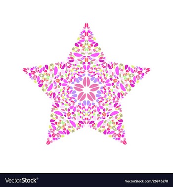 Abstract isolated geometrical stone ornament star vector image