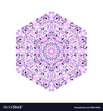 Abstract isolated ornate floral mosaic hexagon vector image