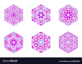 Abstract isolated ornate geometrical petal vector image