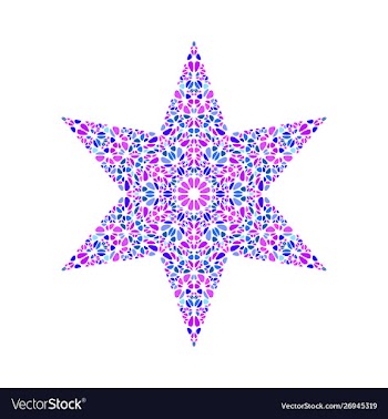 Abstract isolated petal ornament star symbol vector image