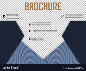 Abstract layout brochure cover design info text vector image