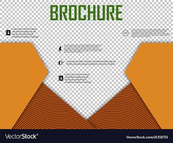 Abstract layout brochure cover design info text vector image