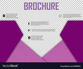 Abstract layout brochure cover design info text vector image
