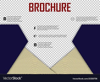 Abstract layout brochure cover design info text vector image