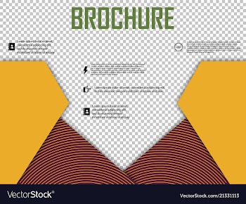 Abstract layout brochure cover design info text vector image