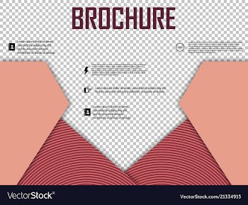 Abstract layout brochure cover design info text vector image