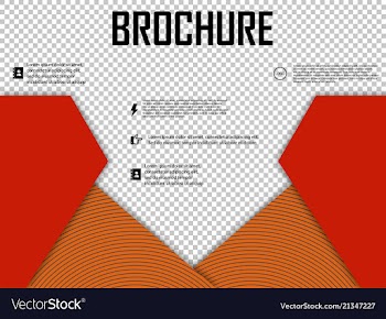 Abstract layout brochure cover design info text vector image