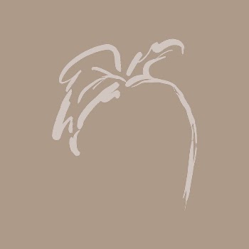 Abstract leaf line art, aesthetic | Free Photo - rawpixel