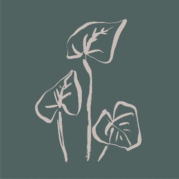 Abstract leaf line art, aesthetic | Free Photo - rawpixel