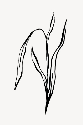 Abstract leaf line art, Chinese | Free Photo - rawpixel