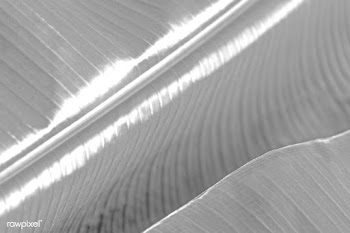Abstract leaf textured background design | Free  illustration - 2351267