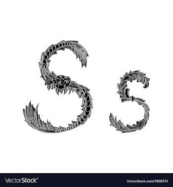 Abstract letter S logo icon black and white design vector image