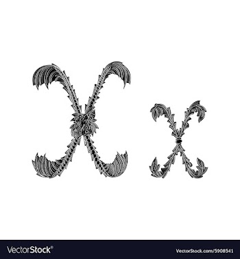 Abstract letter X logo icon black and white design vector image