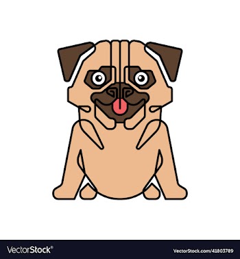 abstract line drawn pug