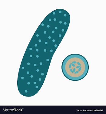 Abstract logo for whole ripe vegetable cucumber vector image