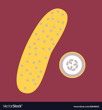 Abstract logo for whole ripe vegetable cucumber vector image