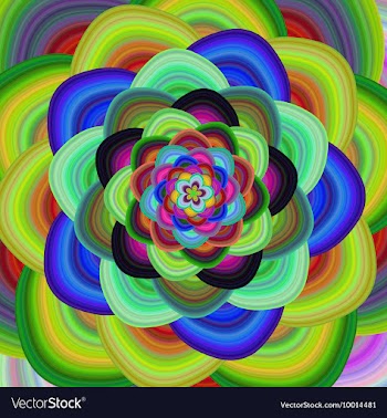 Abstract Multi Colored Floral Background vector image