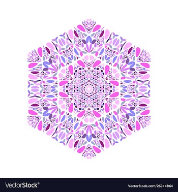 Abstract ornate colorful flower ornament hexagon vector image