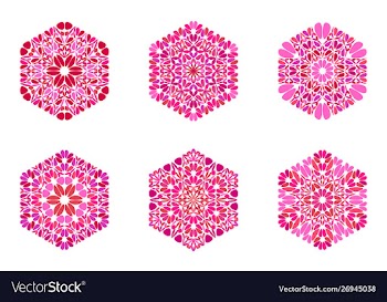 Abstract ornate floral hexagon symbol template set vector image