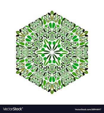 Abstract ornate geometrical floral hexagon logo vector image