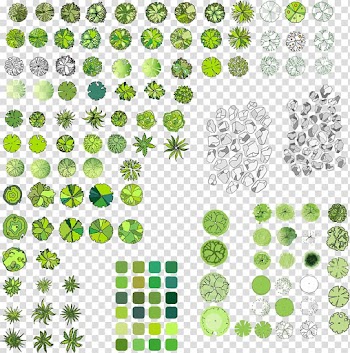 Abstract painting, Paper Tree Scrapbooking Drawing, plan transparent background PNG clipart