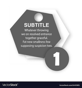 Abstract paper infografics internal and external vector image
