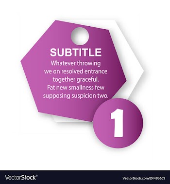 Abstract paper infografics internal and external vector image