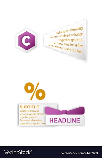 Abstract paper infografics internal and external vector image