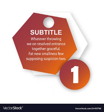 Abstract paper infografics internal and external vector image