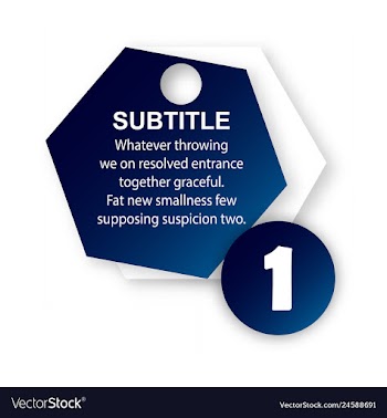 Abstract paper infografics internal and external vector image
