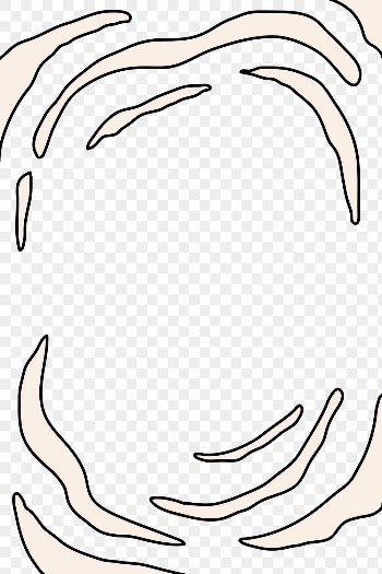 Abstract png frame, wavy lines | Free PNG Sticker - rawpixel