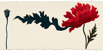 Abstract Poppy Illustration